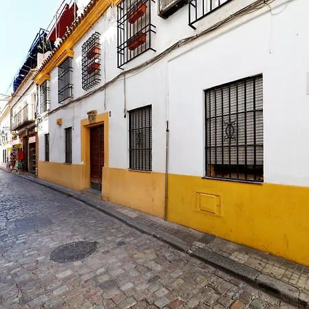 Encanto En La Juderia: Con Patio Apartment *