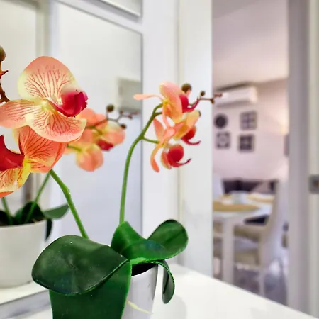 Encanto En La Juderia: Con Patio Apartment